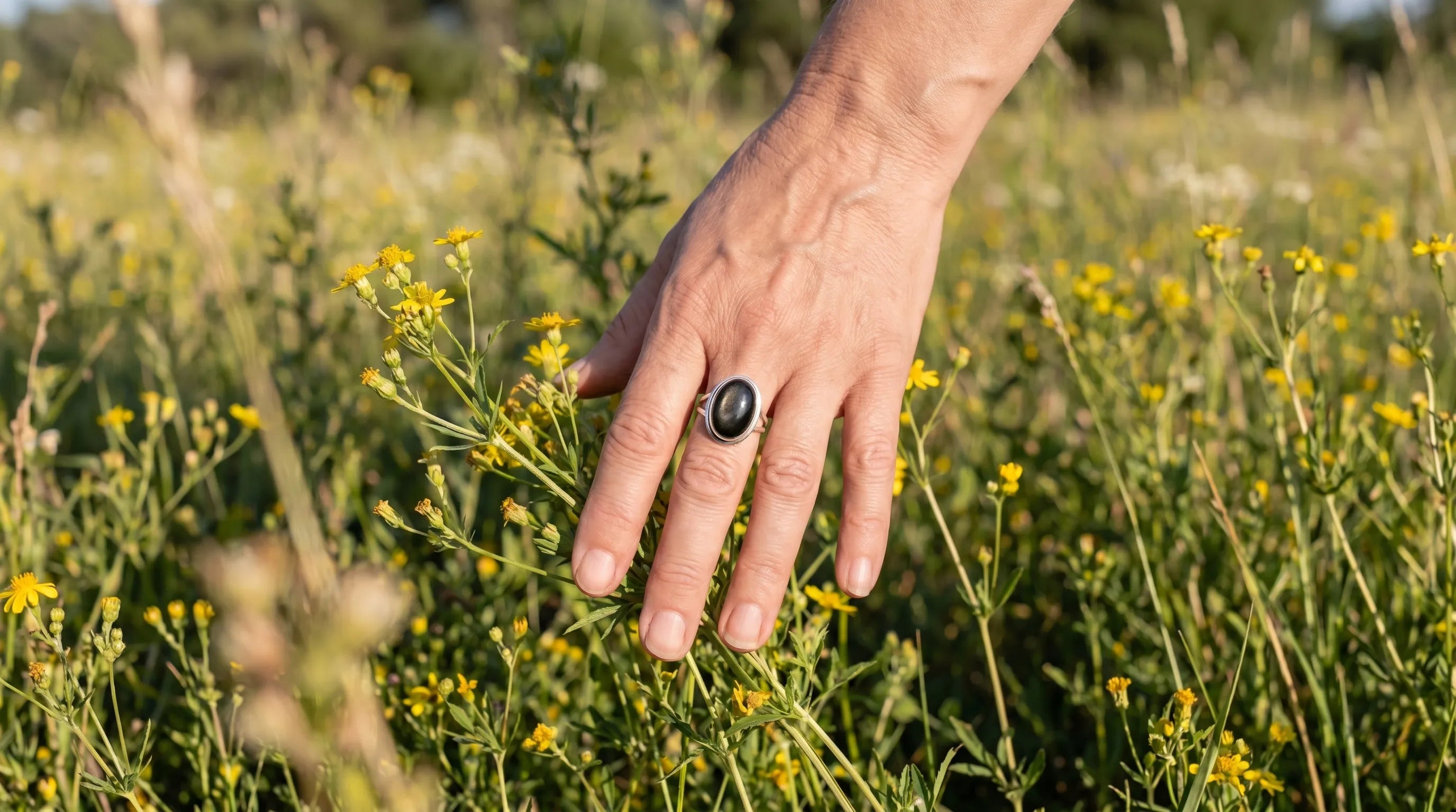 Anillo obsidiana anna piedra