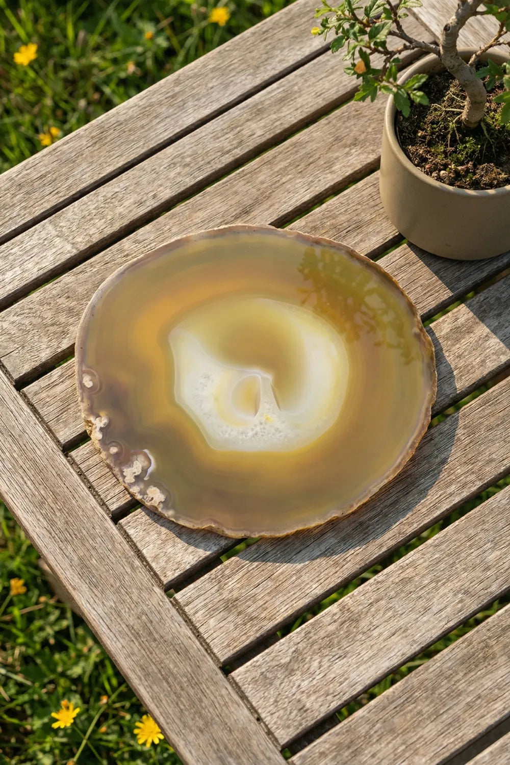 Rodaja de ágata amarilla