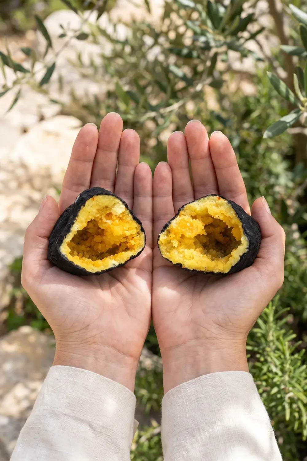Dos mitades de una geoda de calcita amarilla sostenidas en las manos en un jardín mediterráneo. anna piedra